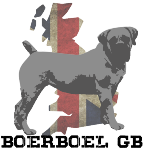 Boerboel GB - The SABBS Affiliated UK Boerboel Club