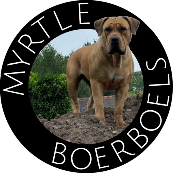 Myrtle Boerboels - UK Boerboel Breeder